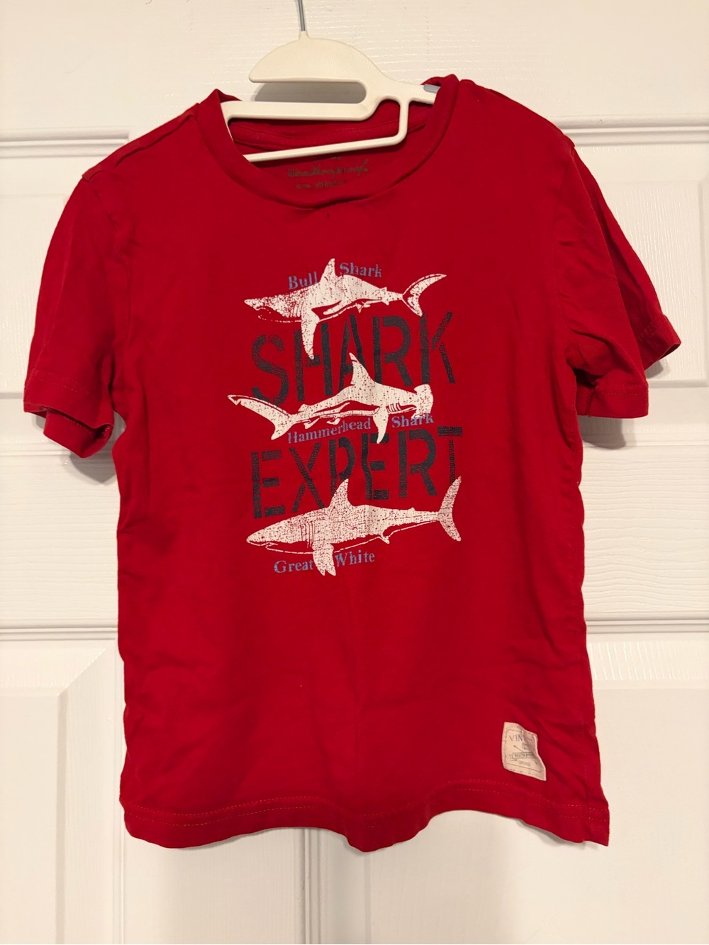 Weatherproof Vintage Boys Shark Expert Graphic T-Shirt Size 6 Red Short Sleeve
